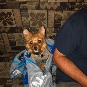 Meet your Posher, Brandy